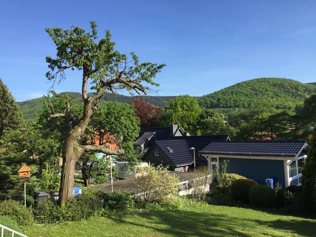 Ferienhaus Goethestrasse Bad Harzburg Bagian luar foto